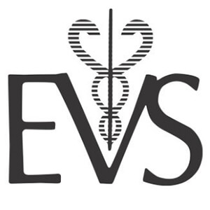 EVS